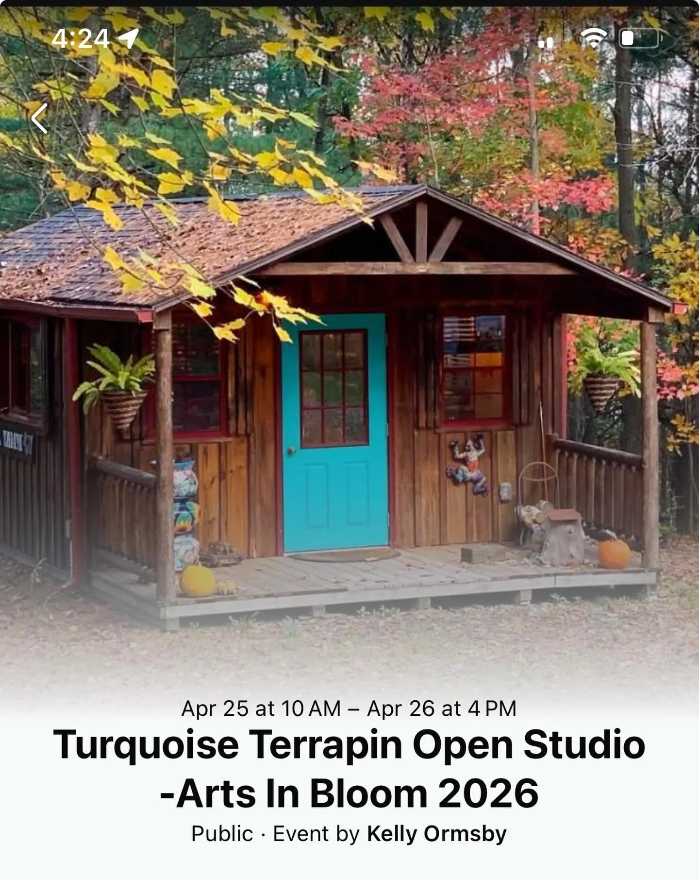 Annual Open Studio Weekend at Turquoise Terrapin! 
One weekend each year we open our doors to the public to show where our handmade jewelry is created and our oddities and curiosities are curated! Grab a friend and 
stop by! Yes, Lyle the Tortoise wi