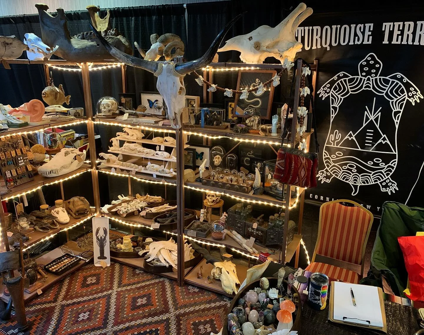 Turquoise Terrapin - Booth #18