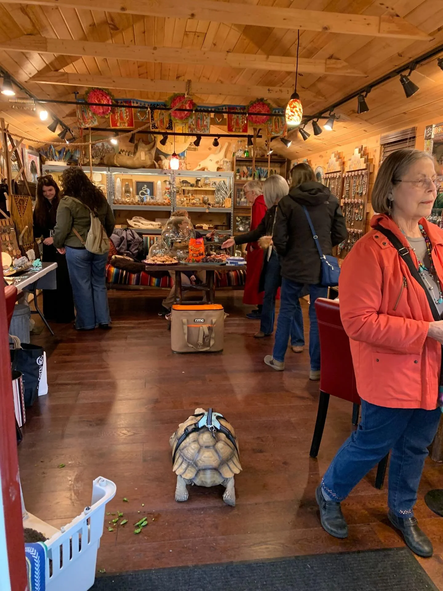 Open Studio day one was a blast! Thank you to all@who came out today! Doors open tomorrow at 12:00, and we go till 4:00. Grab a friend and stop by! 

📍 465 Steege Hill Road
Corning, NY 14830