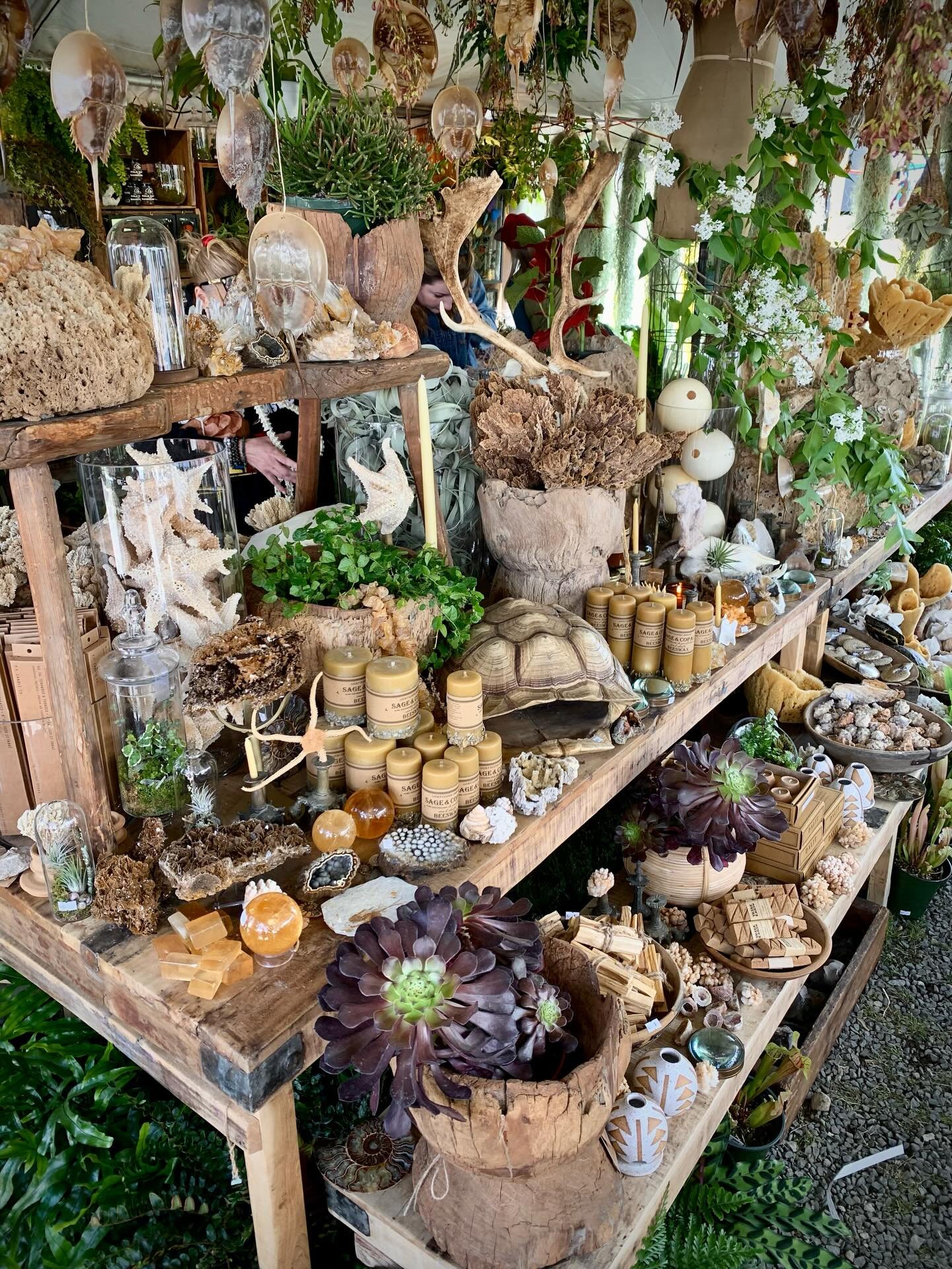 Ten hours of walking the Brimfiled Antique Show in Brimfield, Massachusetts made for many beautiful sights! Lots of fresh (or perhaps I should say vintage?) oddities were acquired!