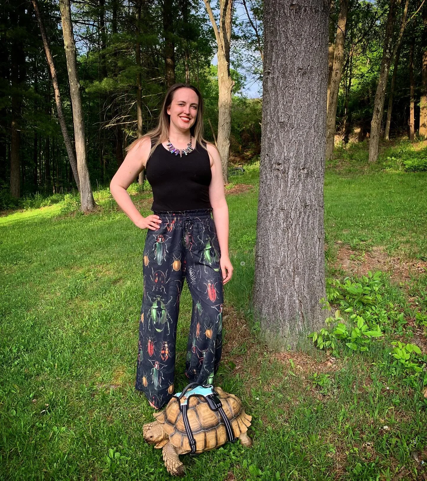 Bug Pants! 🪲 👖 🐢