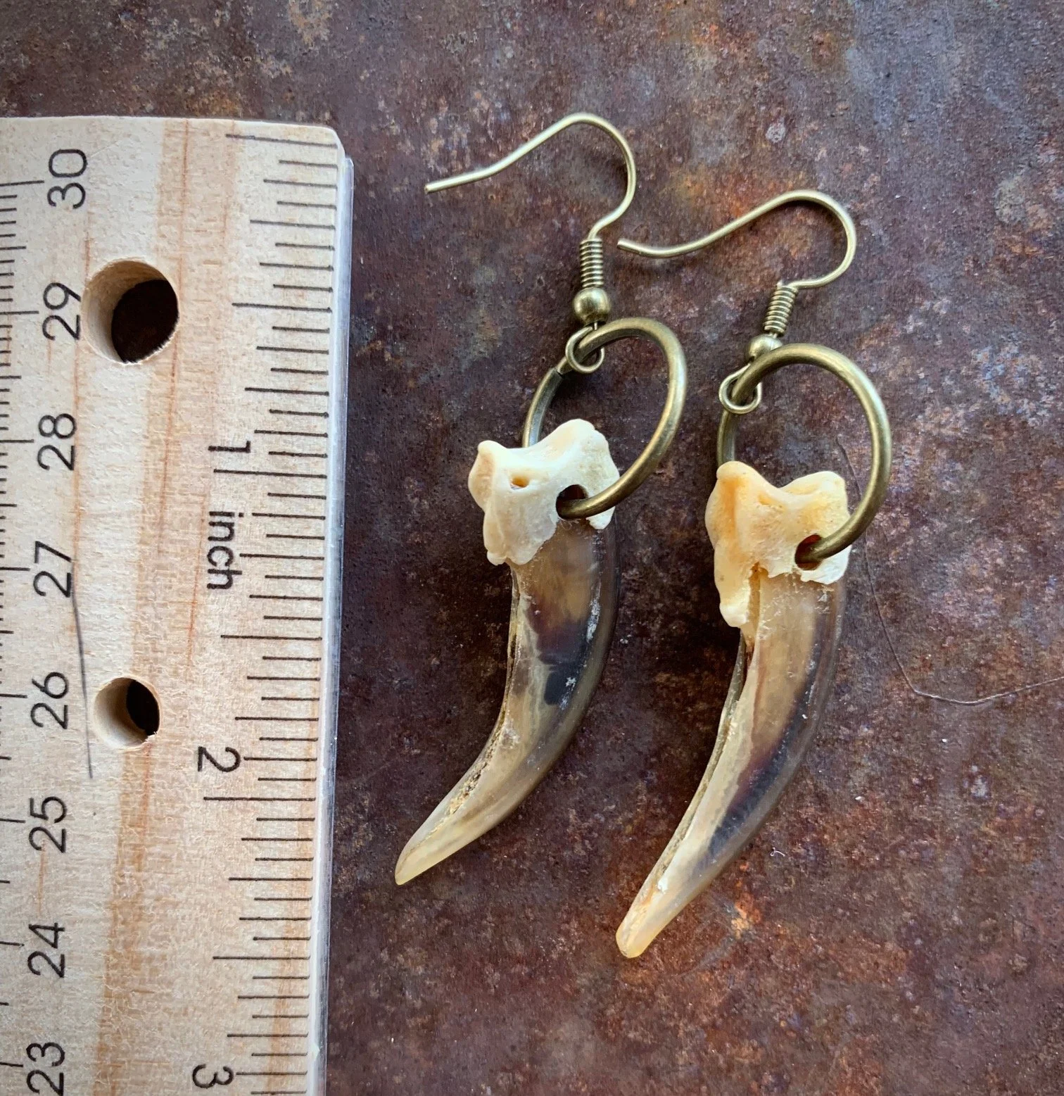 Badger Claws with Ruler.jpg