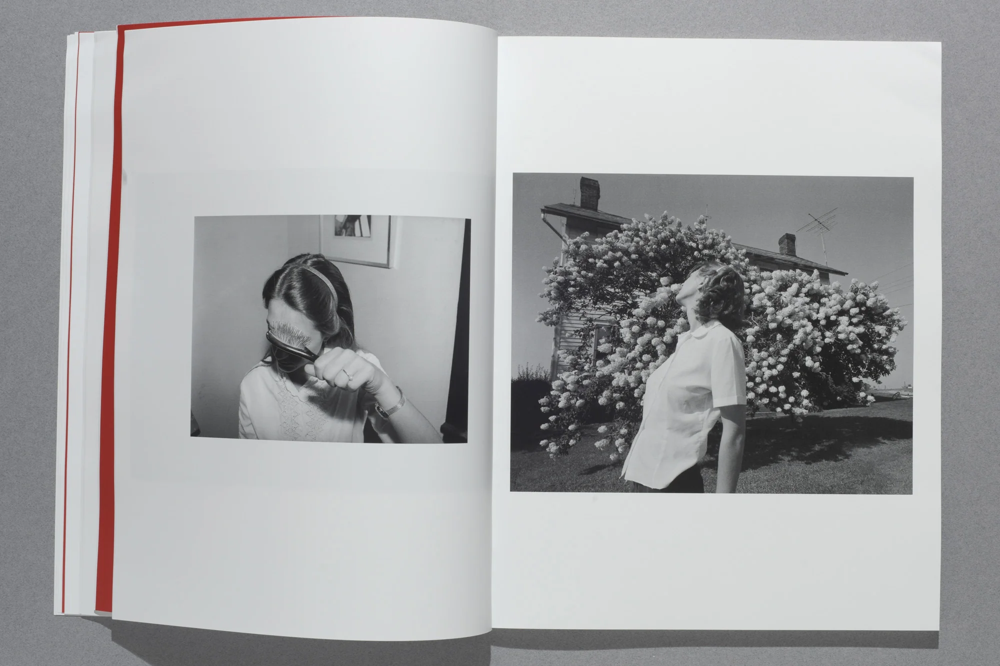 Photos by Michael Northrup