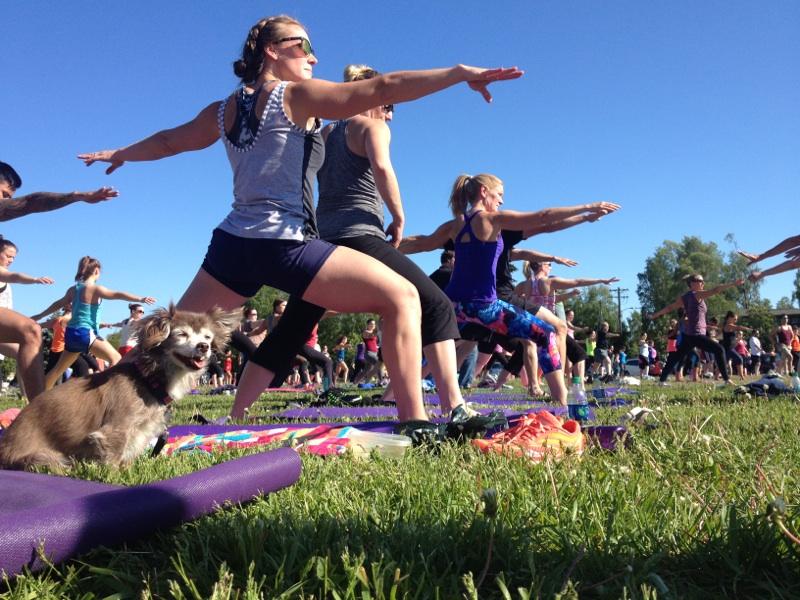 Taking some time for some wednesday night yoga in the park.