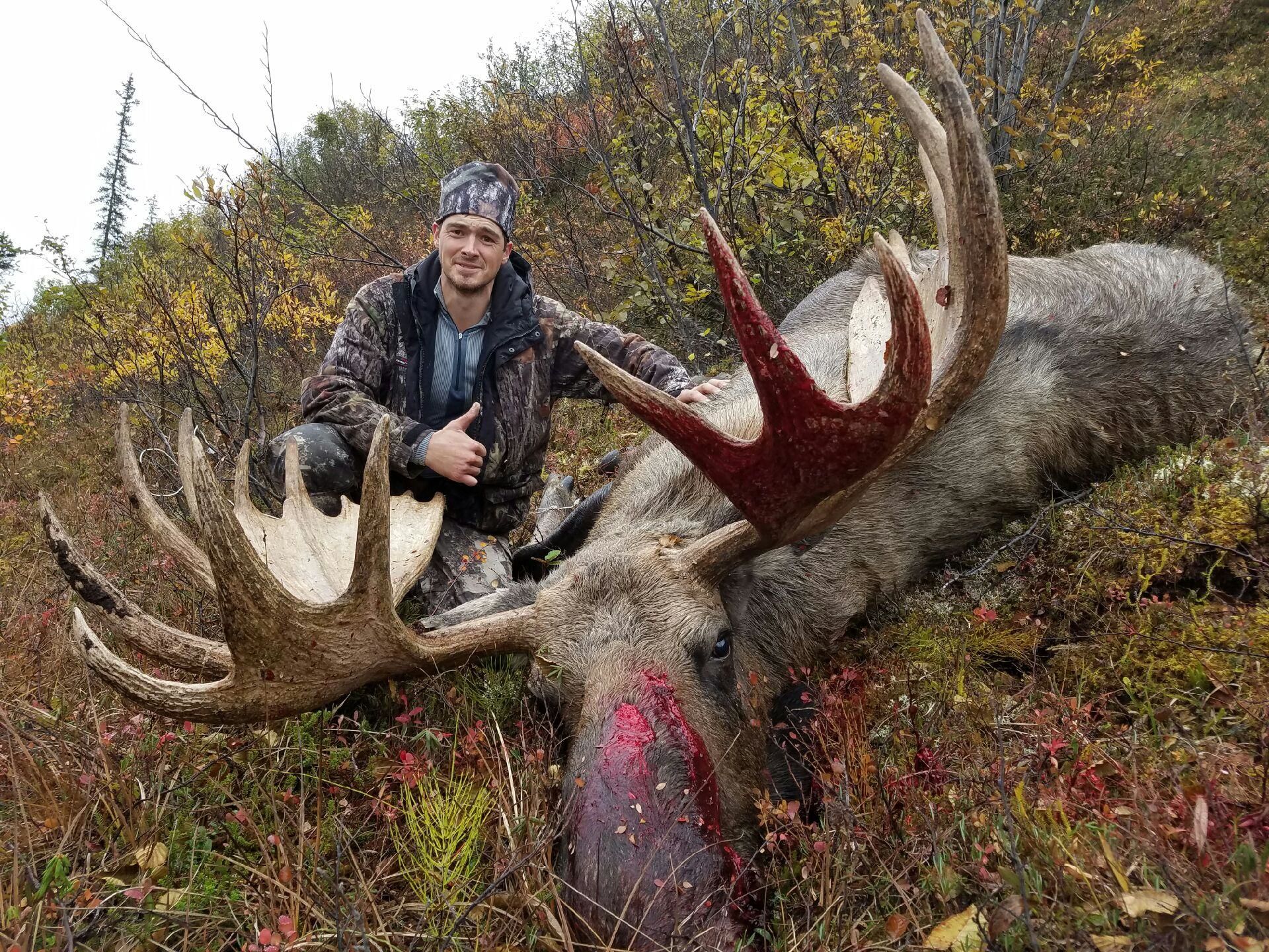 Jojo's first moose!