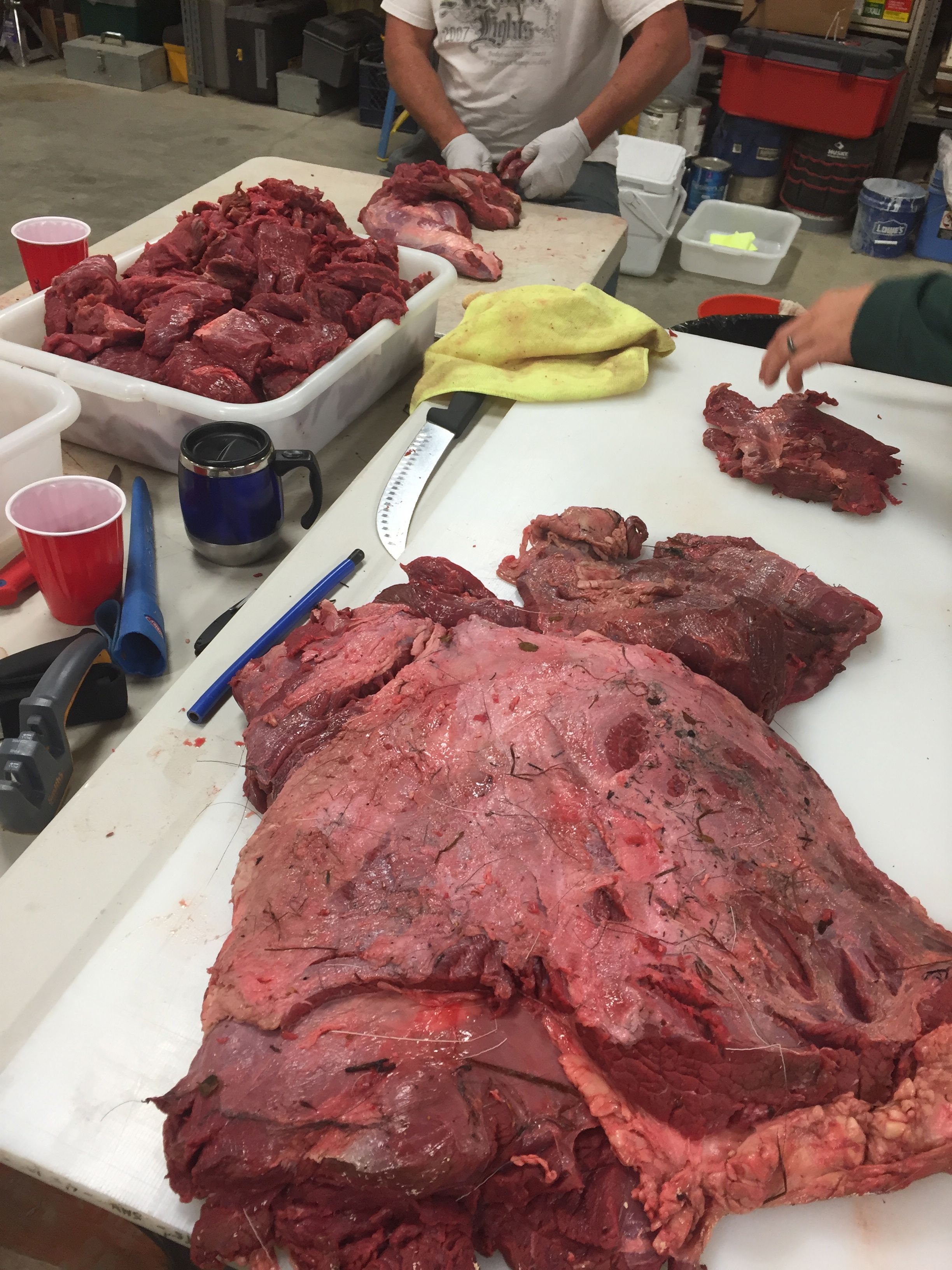 Growing up vegetarian means that I have been forced to get over many "dislikes". One of which was touching meat. Several days later of processing, I am finally ok with it!