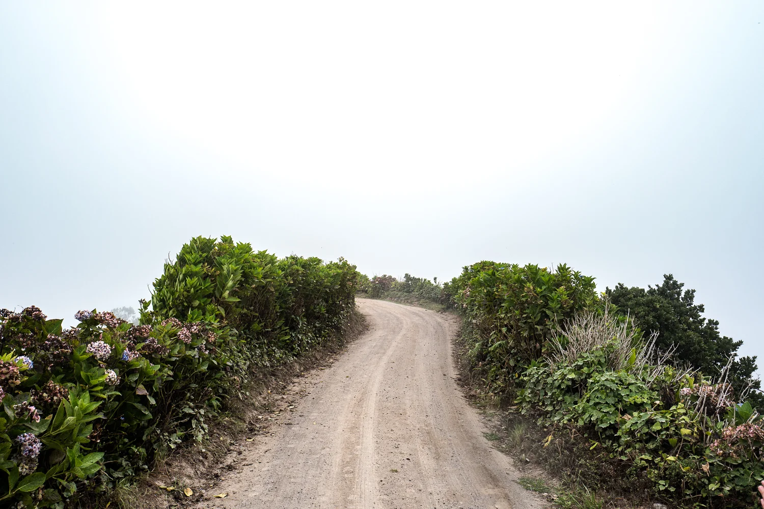 L1050611.jpg