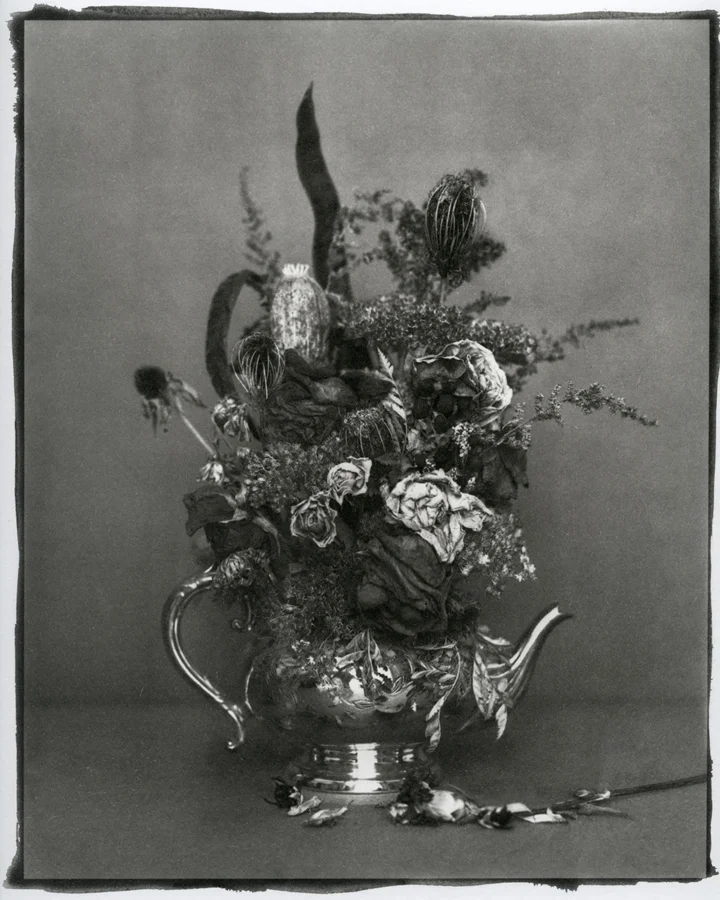 Coexistence No. 2 platinum/palladium print 8" x 10" edition of 3