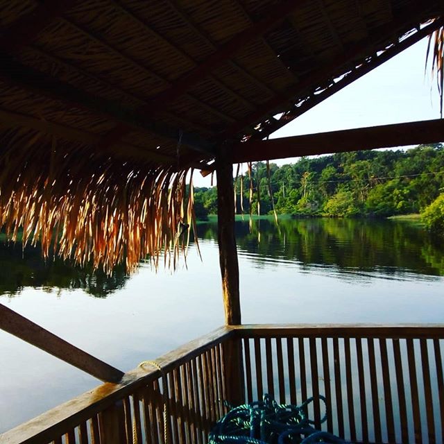 Amazon Prime Ecolodge.
Este &eacute; o o nosso quintal na floresta.
Conhe&ccedil;a nosso pacote de passeios ecol&oacute;gicos na Floresta Amaz&ocirc;nica.
Contatos.
info@amazonprimeecolodge.com
WhatsApp (92) 99148-0728

#amazon #peacockbassfishing #j