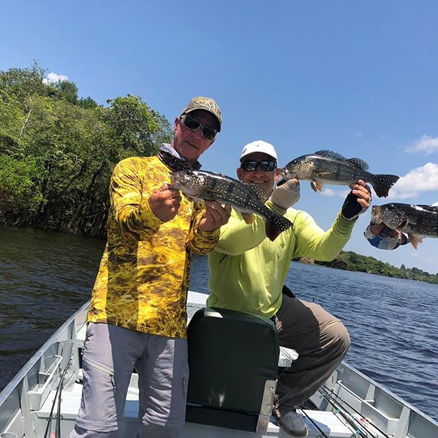 Amazon Prime Ecolodge. 
We wana thanks Mr Bred Feller to come to our lodge and fish with us.. That was a great adventure and Mr Cap Mike Merritt is with us.. Contac us and make you reservation. Fishing tours and Ecotours .

#amazon #junglelodge #hote