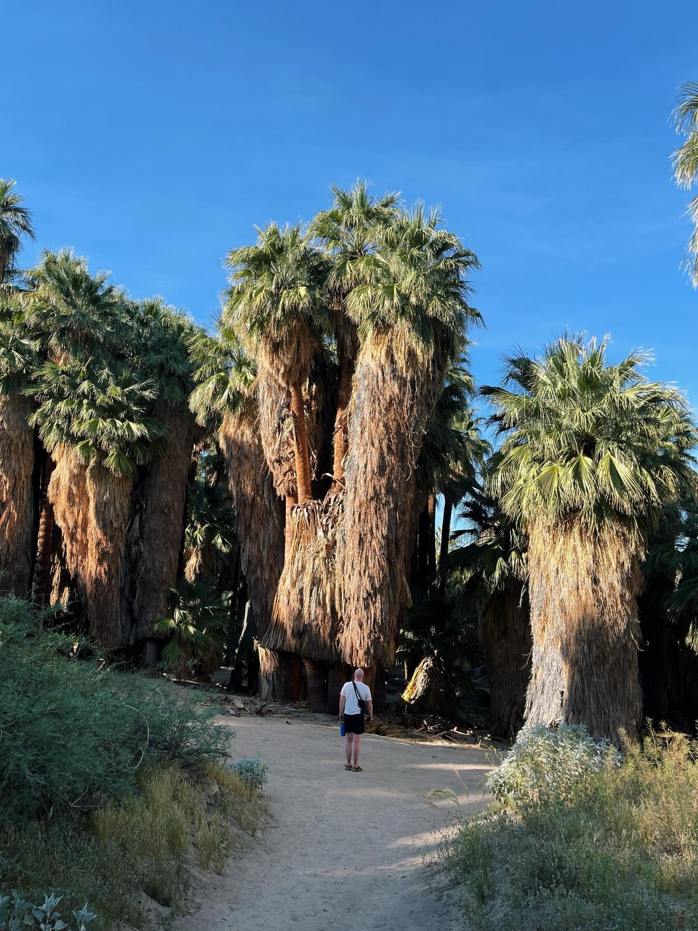 Roadtripped through the Southwest with my best friend @colemccloskey for a couple weeks! First stop: Palm Springs &amp; Joshua Tree