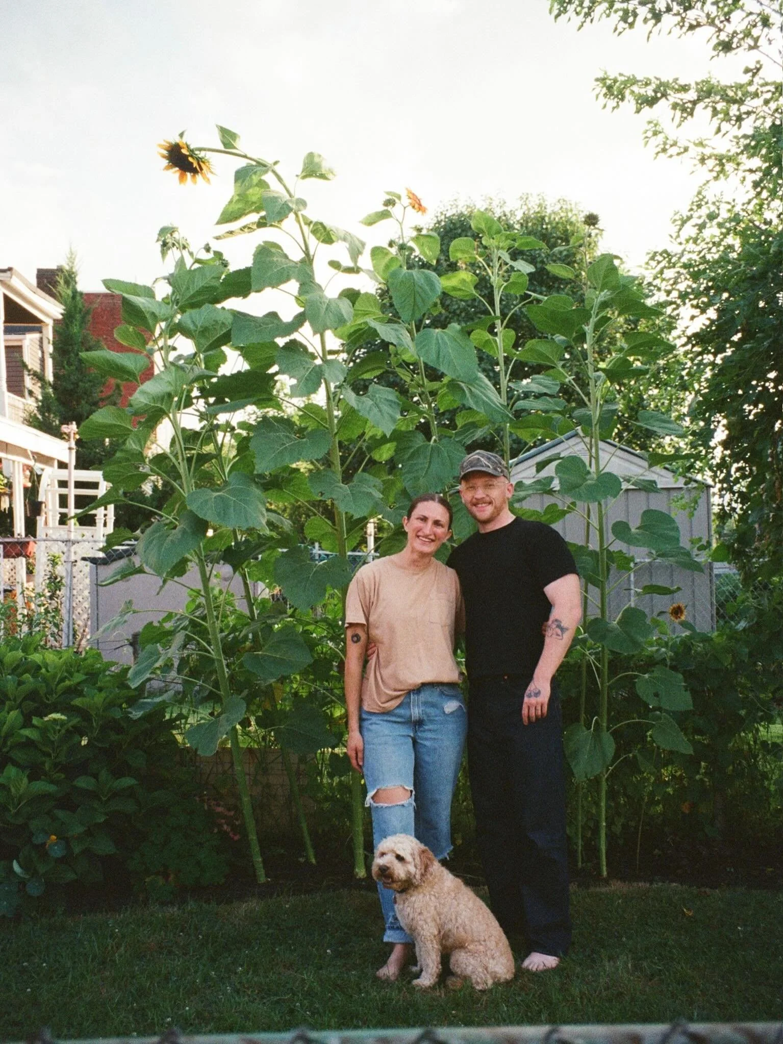 I&rsquo;m madly in love with our garden. Every morning I look forward to walking around with my coffee and every evening I look forward to checking in on what&rsquo;s grown throughout the day. A garden is so humbling because I can put all my love and