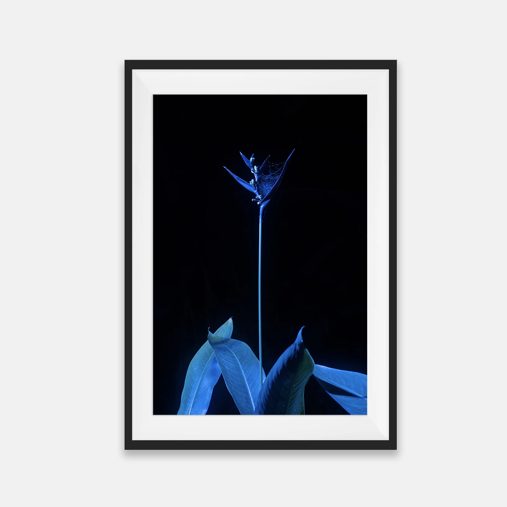 rebirth-bali.jpg