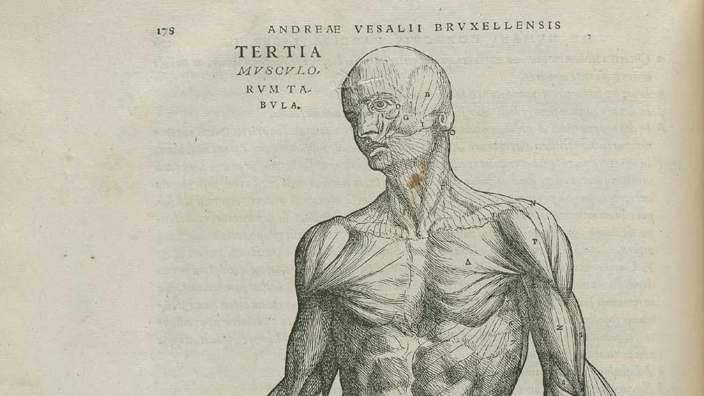 The Necessity of Knowledge of Anatomy