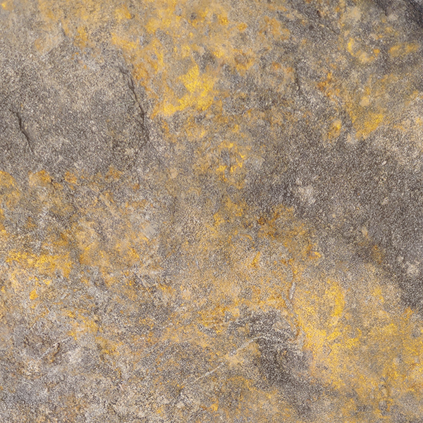 I'm not returning to Life Time City Centre.