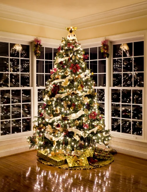 christmas-tree.jpg