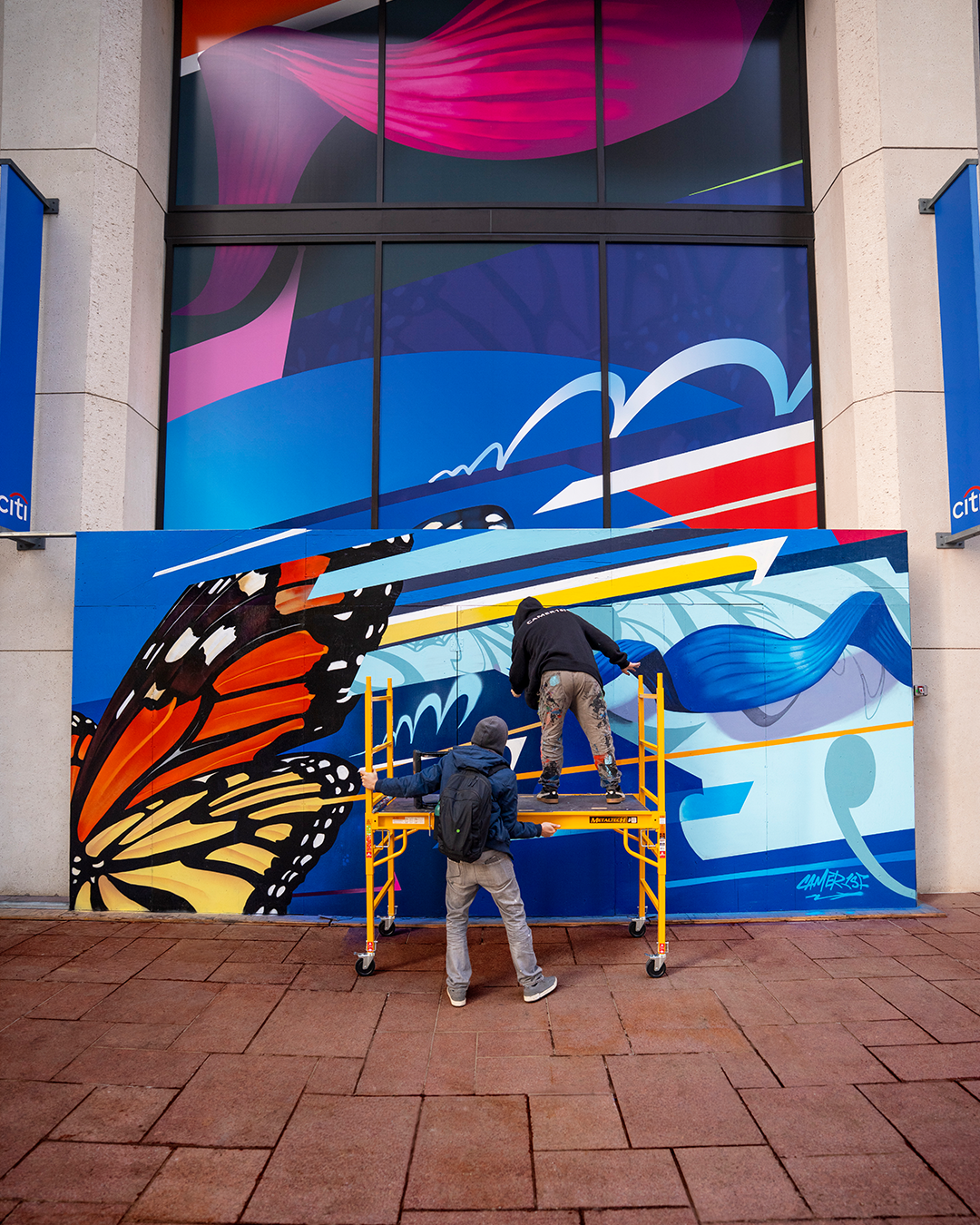 Image 2-1369614-DSC03253_V02.png