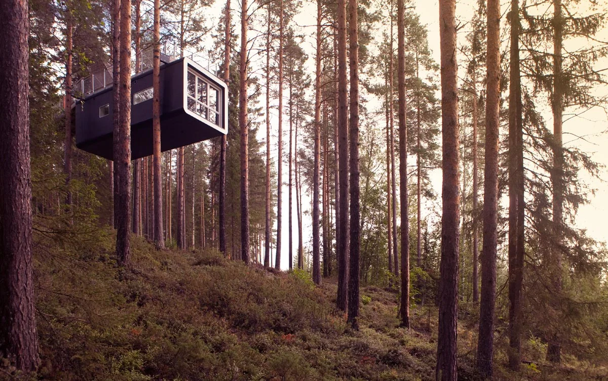 1.Treehotel-Here & Away.jpg