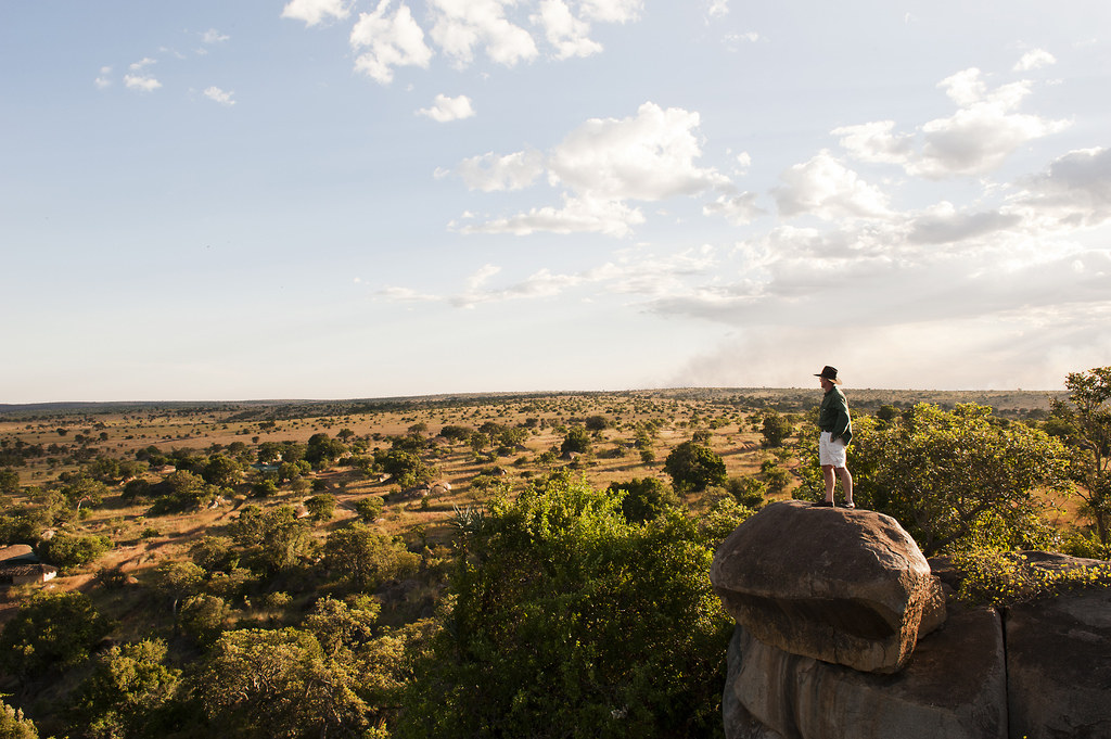 5.Lamai Serengeti-Here & Away.jpg