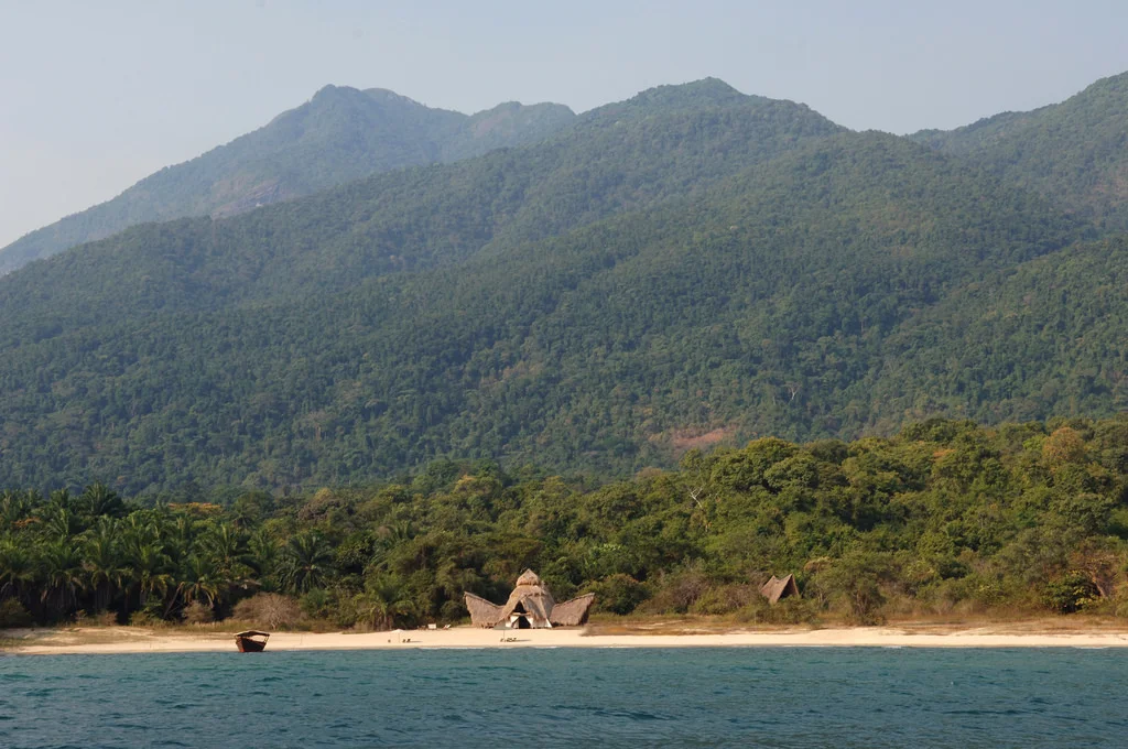 1.Greystoke Mahale-Here & Away.jpg