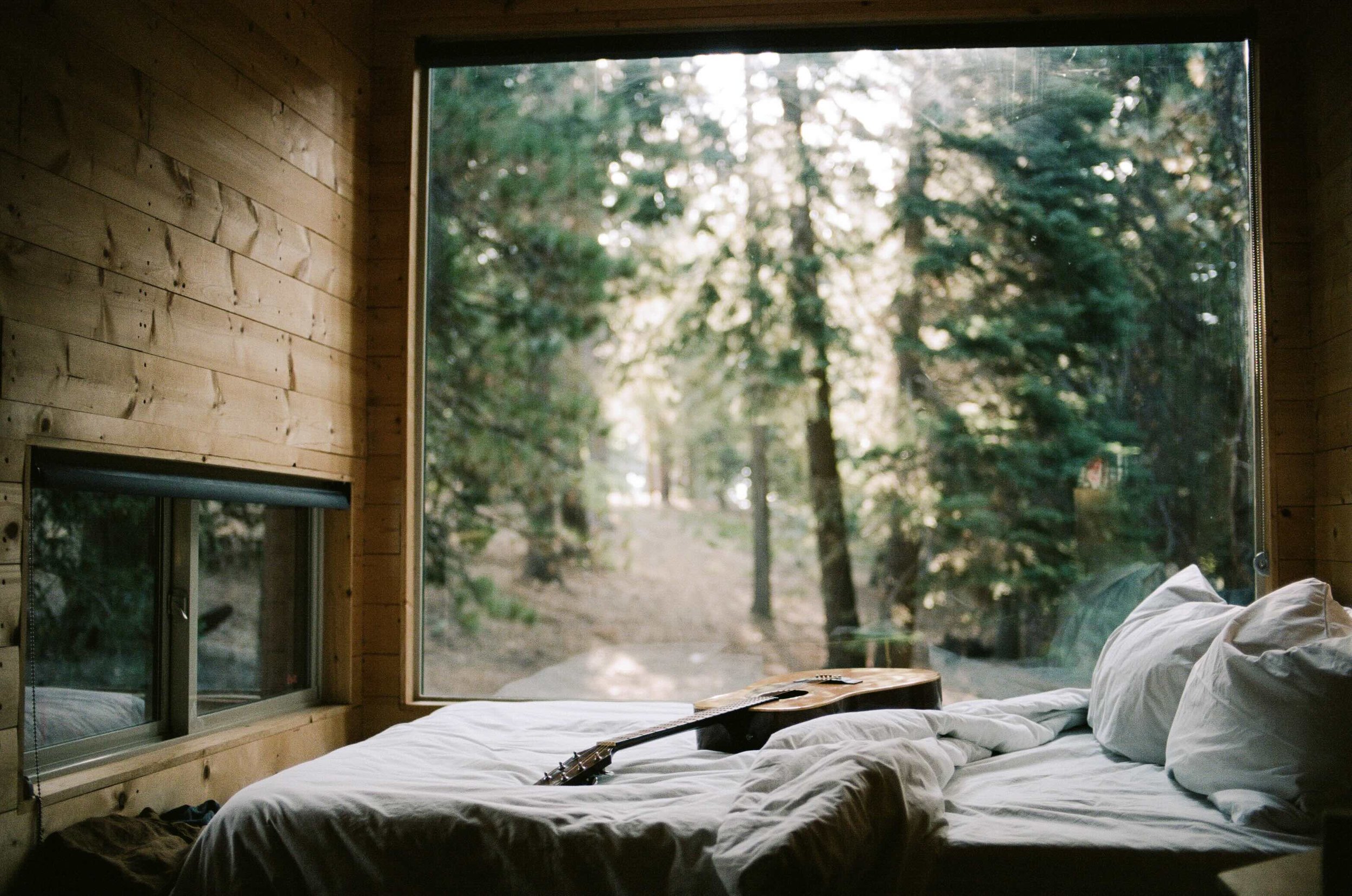 2.Postcard Cabins Piney Woods-Here & Away.jpeg