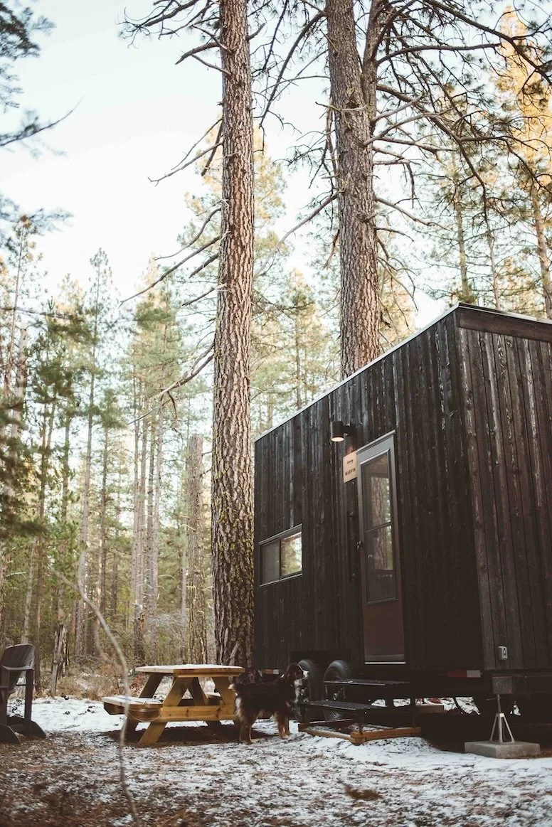 6.Postcard Cabins Brazos Valley-Here & Away.jpeg