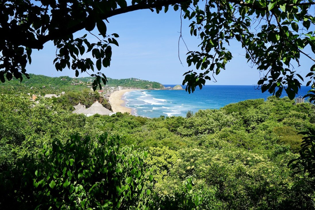 6.El Guayacán-Here & Away.jpg