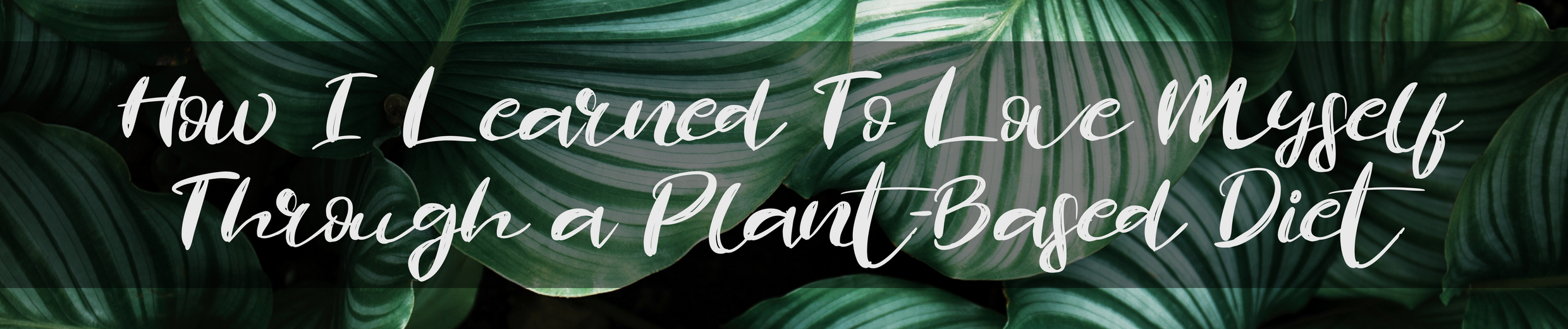 How I Learned To Love Myself Through a Plant Based Diet-4.png