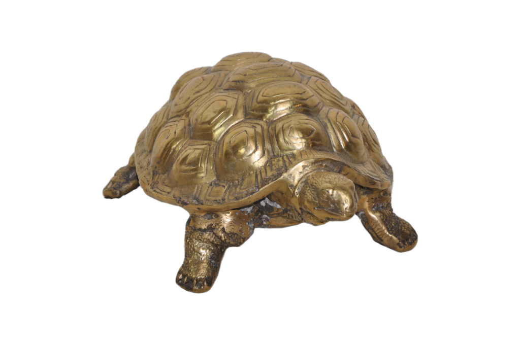 turtle 2.png