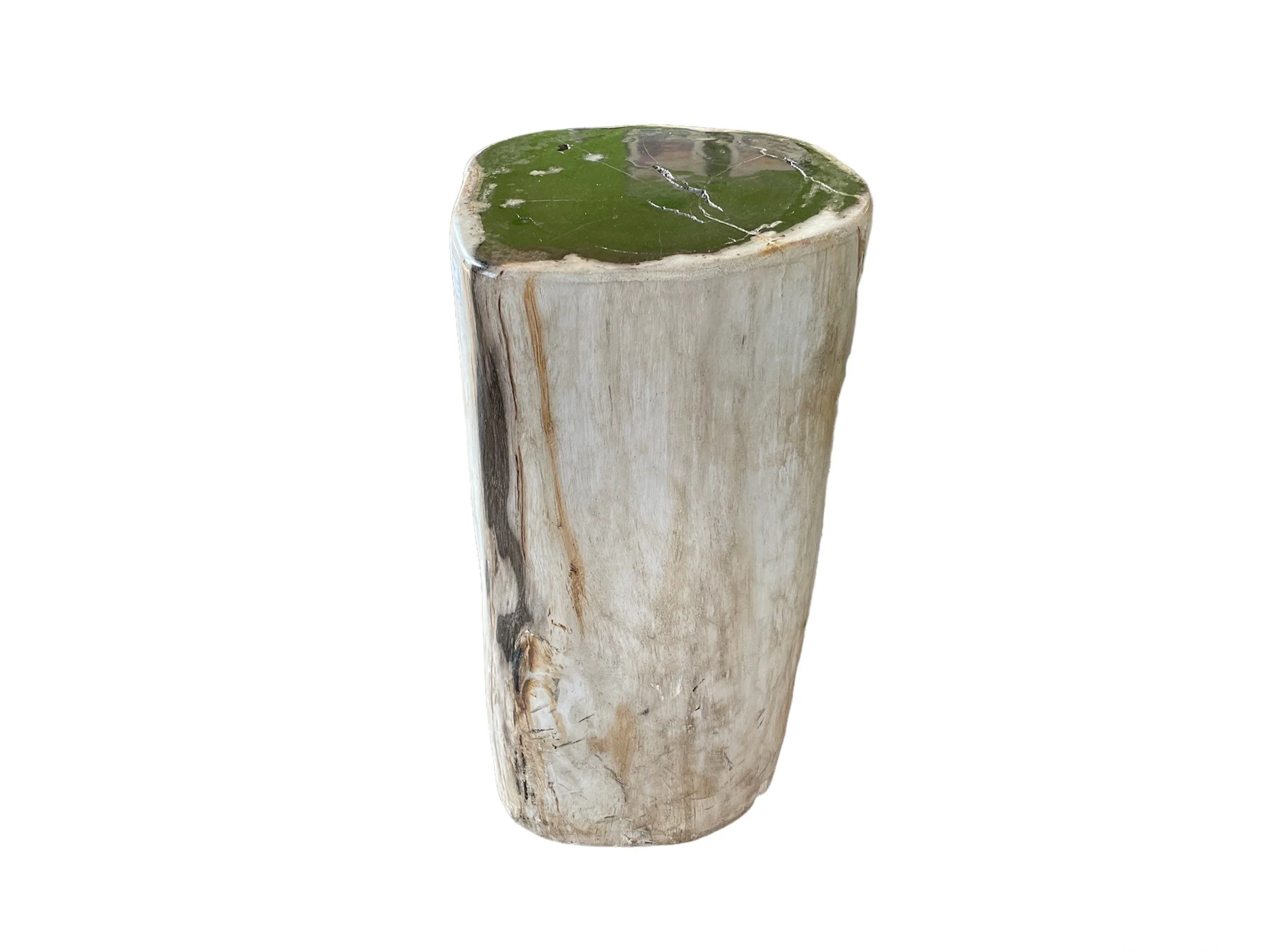 Indonesian Petrified Wood Side Table/Stool