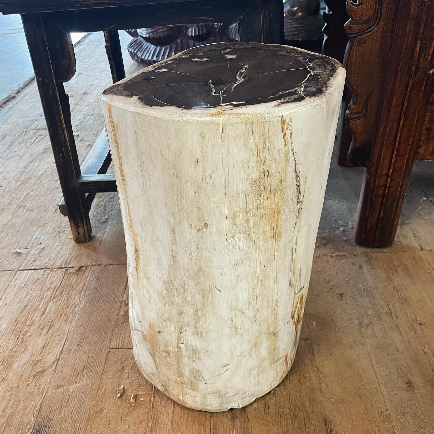 Jepara, Indonesia petrified wood side table in beautiful condition.  Originally $700 now on sale for $350! 
Dimensions: D11&rdquo; x H17&rdquo; #petrifiedwood #oneofakindfurniture #asianantiquefurniture #interiordesign