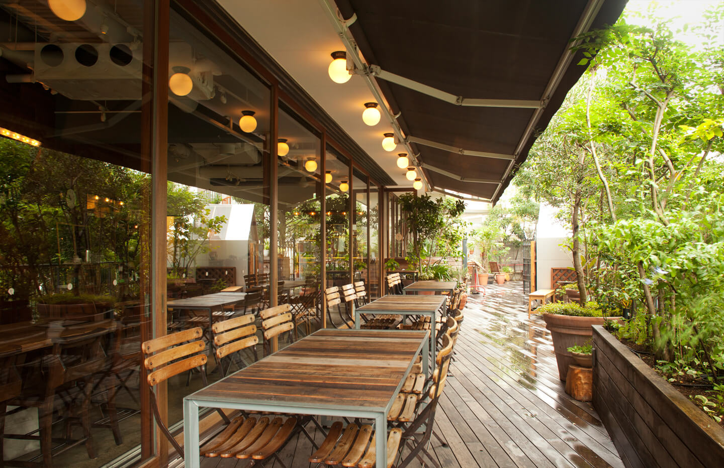 Photo:daylight kitchen(WEB サイトより)