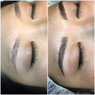 APbrows1.jpg
