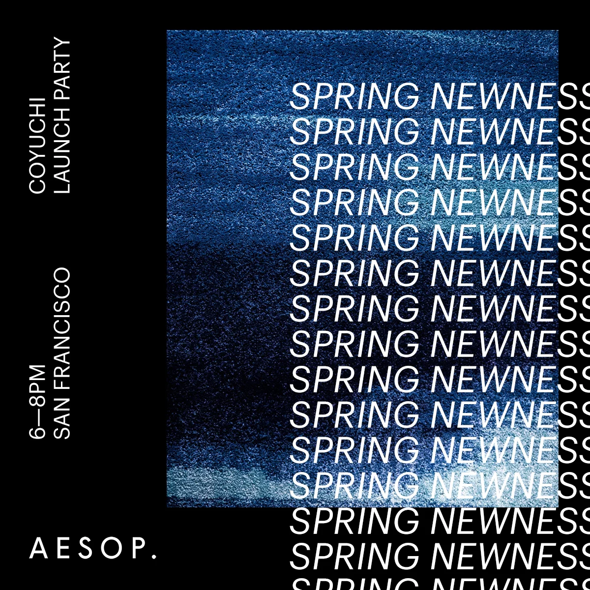 Spring Newness.jpg