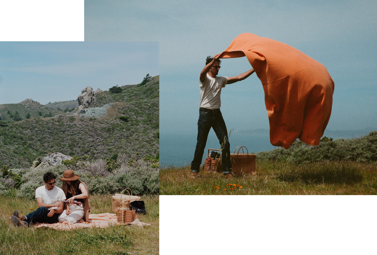 aesop_wines_lookbook.png
