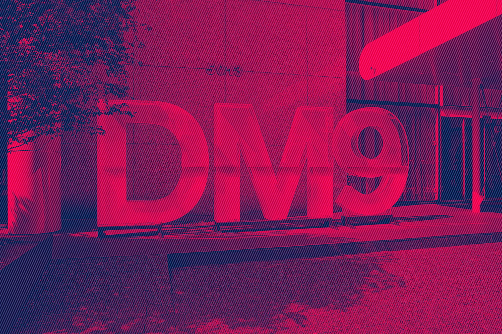 dm9_RB_b.jpg