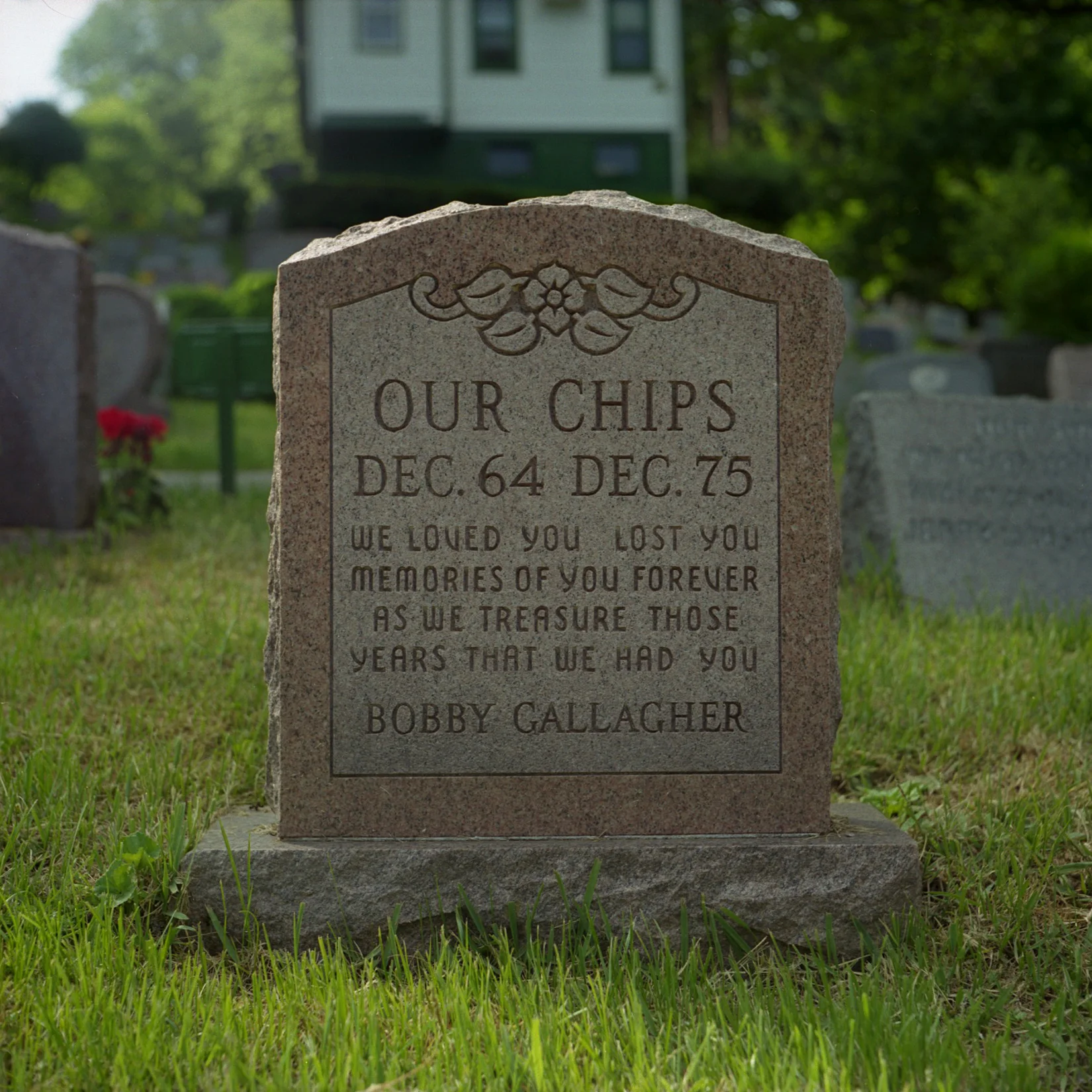 Our Chips.jpeg