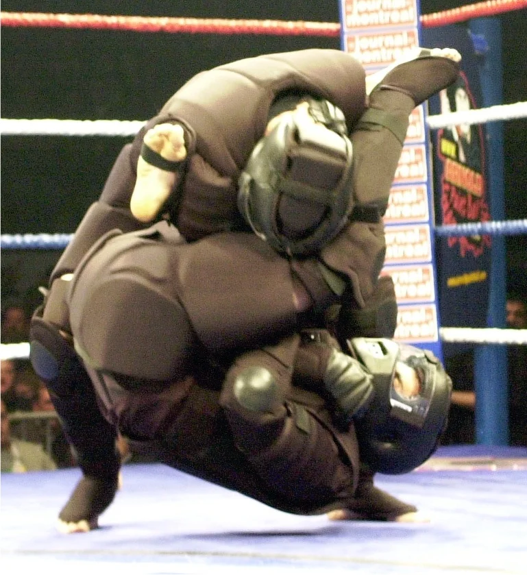 The 