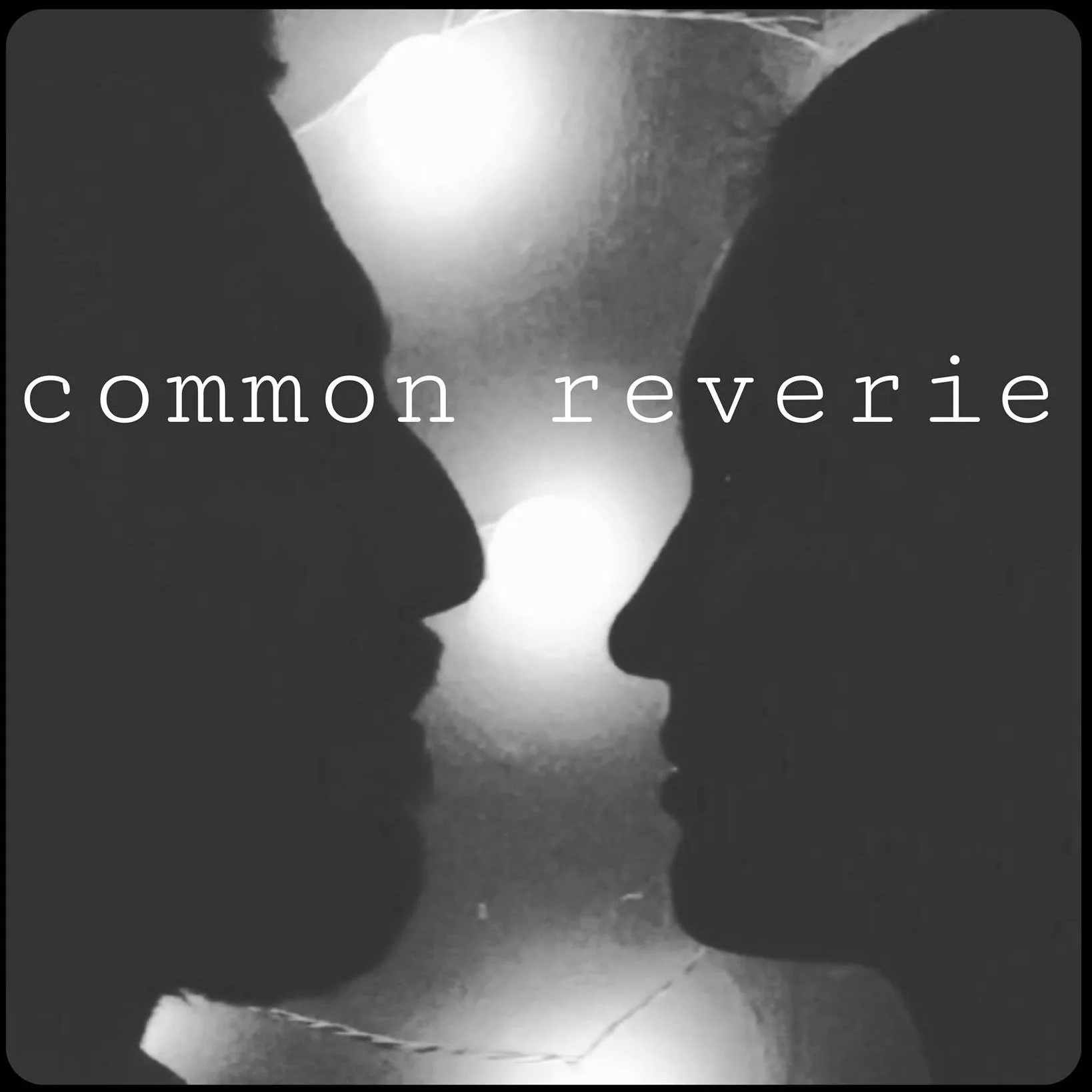 As eclectic, colorful and wild as a forgotten rainforest, Common Reverie's performances are like nothing else. Incorporating dance, various genres of music and encouraging audience participation, often times even Common Reverie don't know what to expect at a Common Reverie show! Singers/Songwriters/Multi-Instrumentalists Jesse Goin and Sarah Joy load their music with enough passion and energy to become an alternative energy source for any room they're playing in. Musically, Common Reverie takes many paths. Whether twisting traditional forms such as blues and rockabilly into their own unique sound or blending their passion for jazz, rock n' roll, classical and various world folk music; Common Reverie have found a truly original voice.