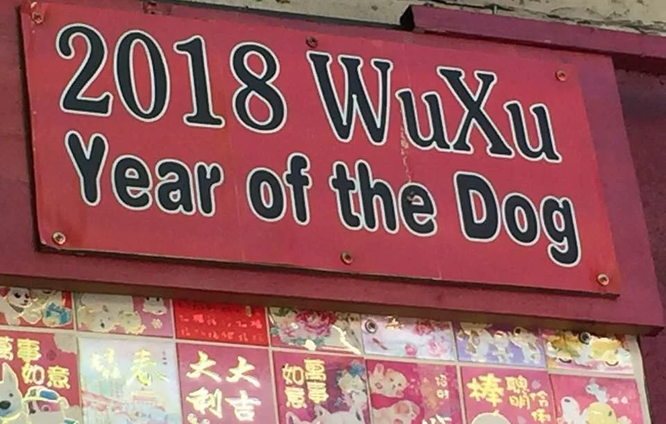 year+o+the+Dog.jpg