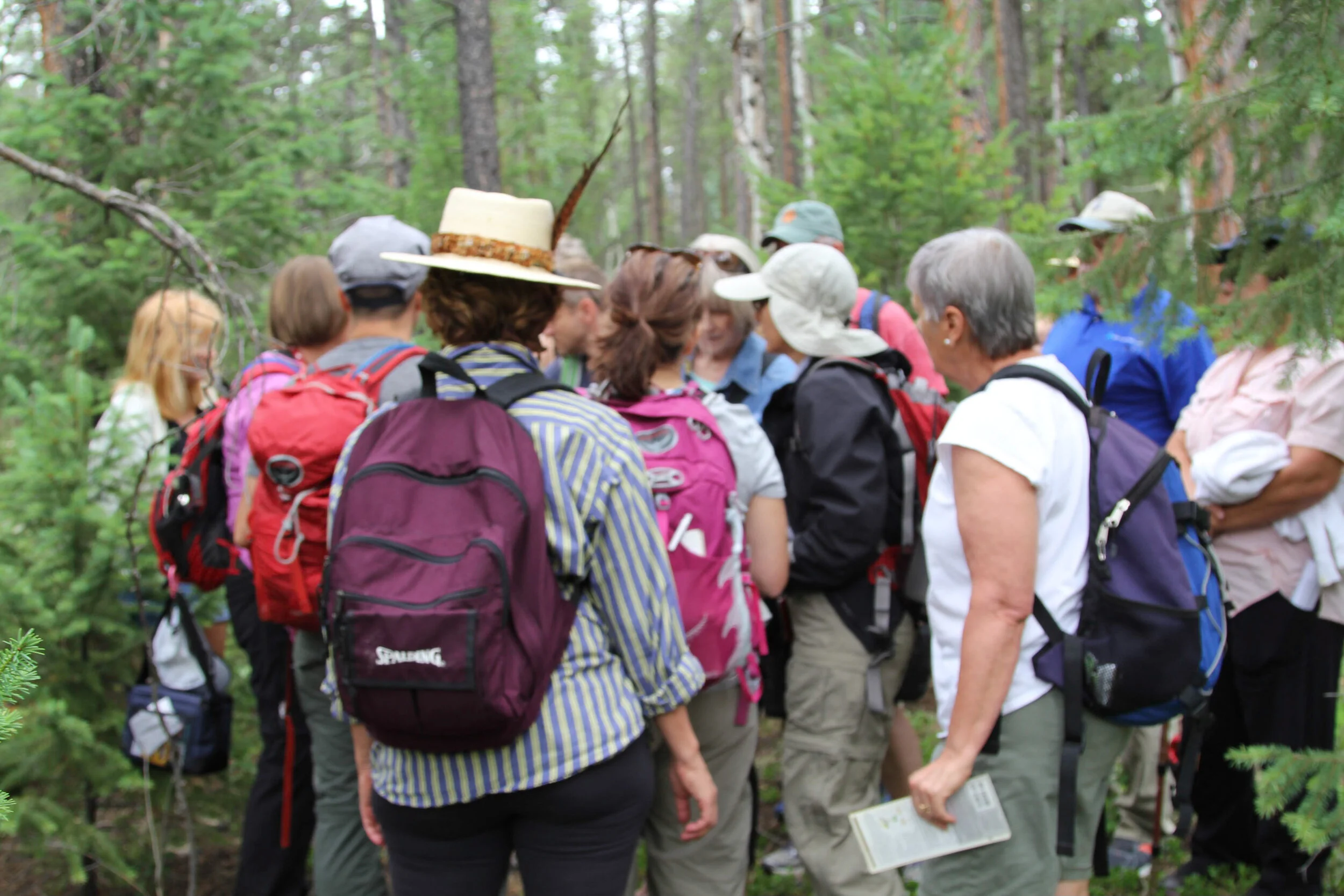 Wild Mushroom Basics ↠ Gift Card ↠ 2025 Season