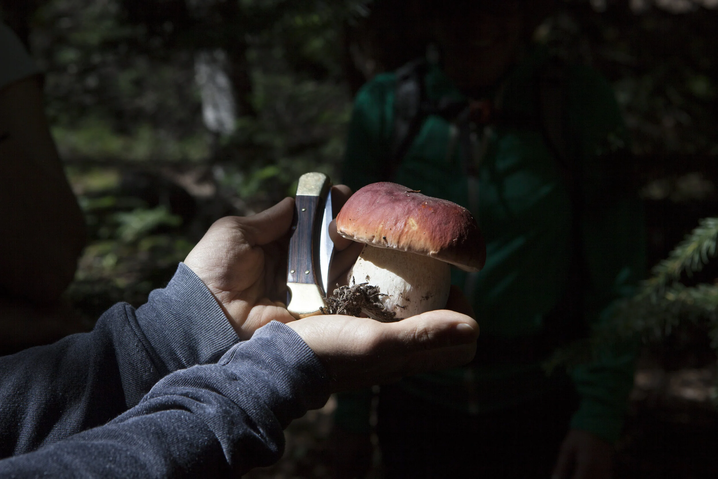 PorciniBuckKnife.jpg