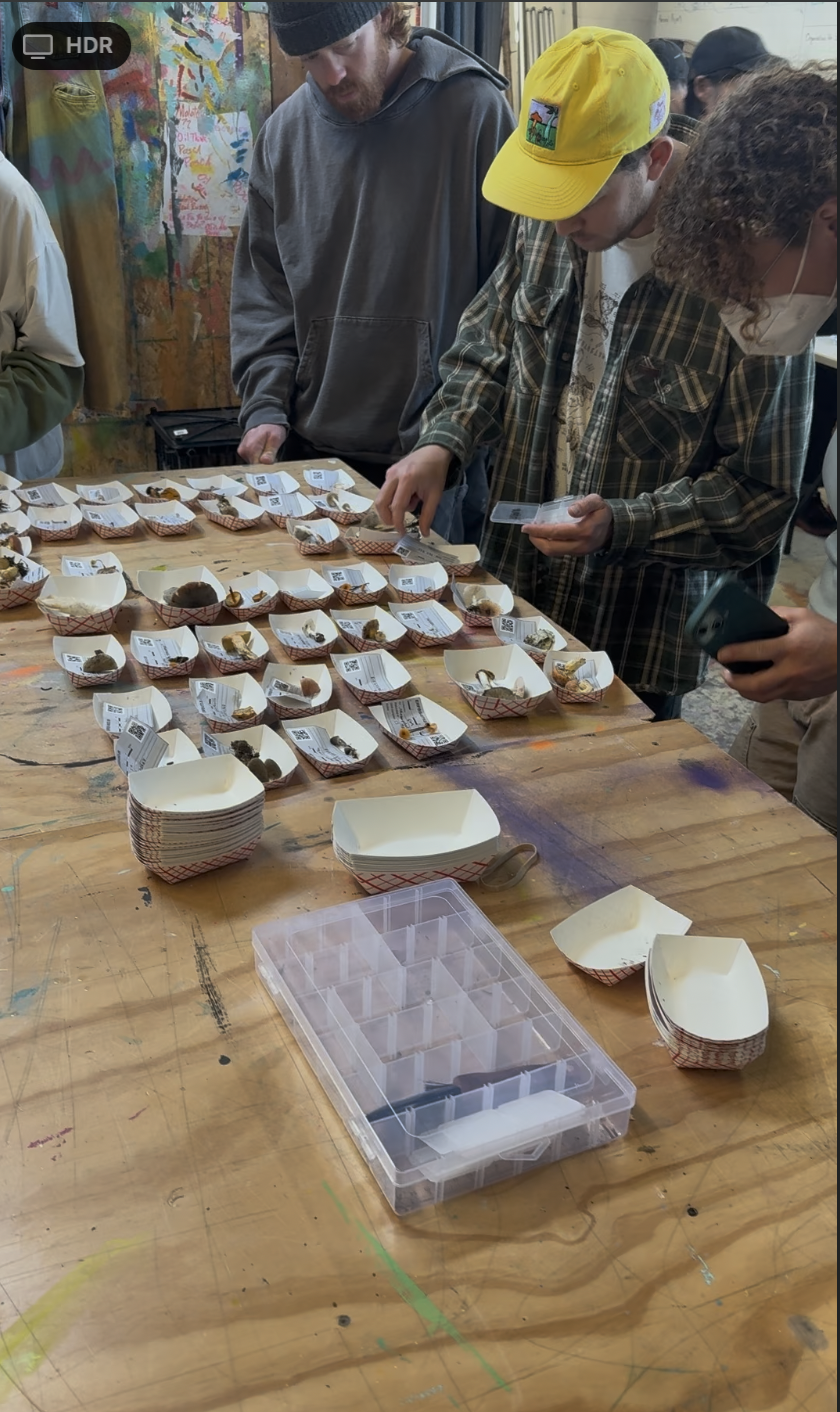 Mushroom DNA Sequencing | Online Lectures ($150)