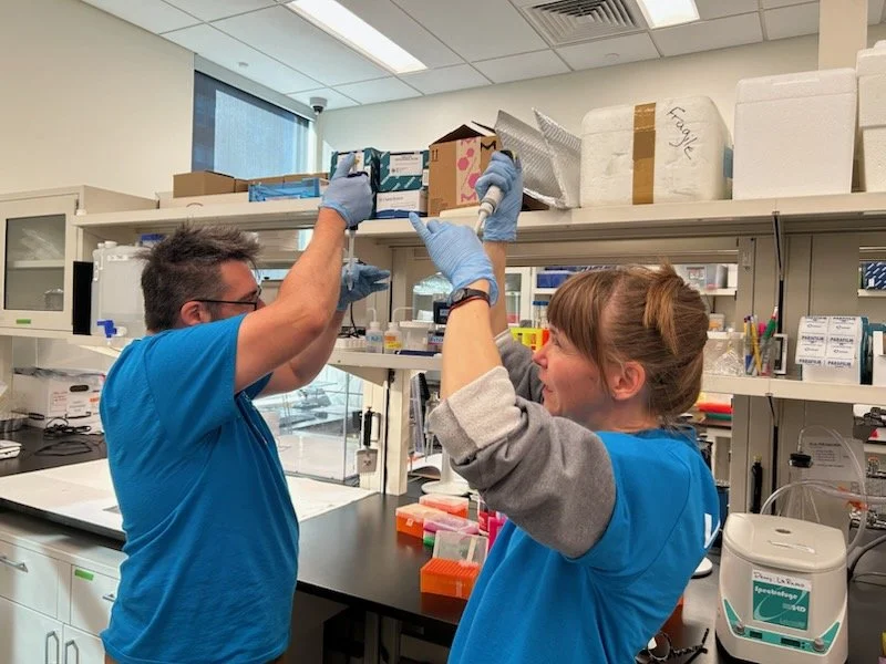 Mushroom DNA Sequencing | 6-Week Cohort ($275)