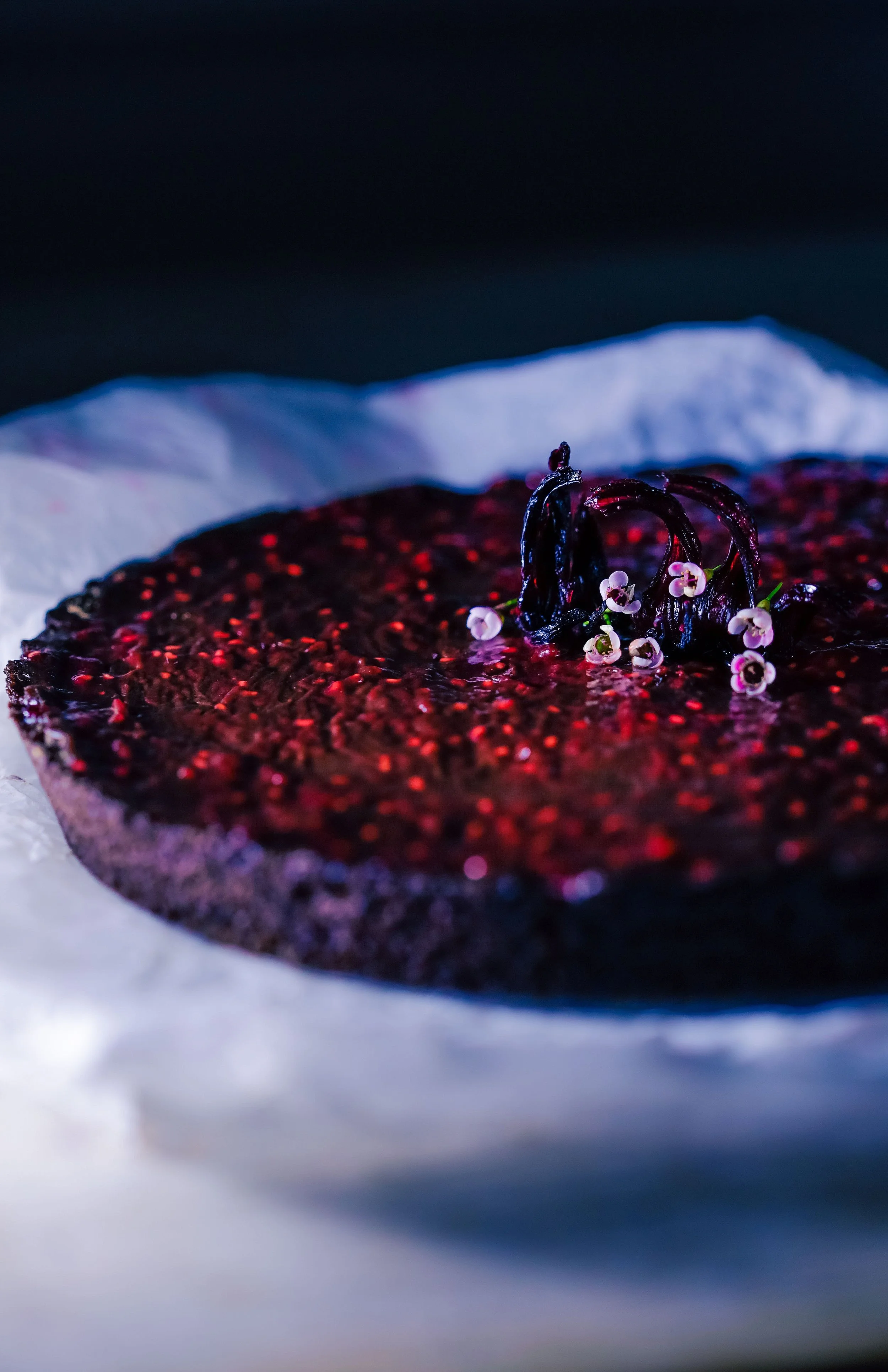 choc tart.jpg