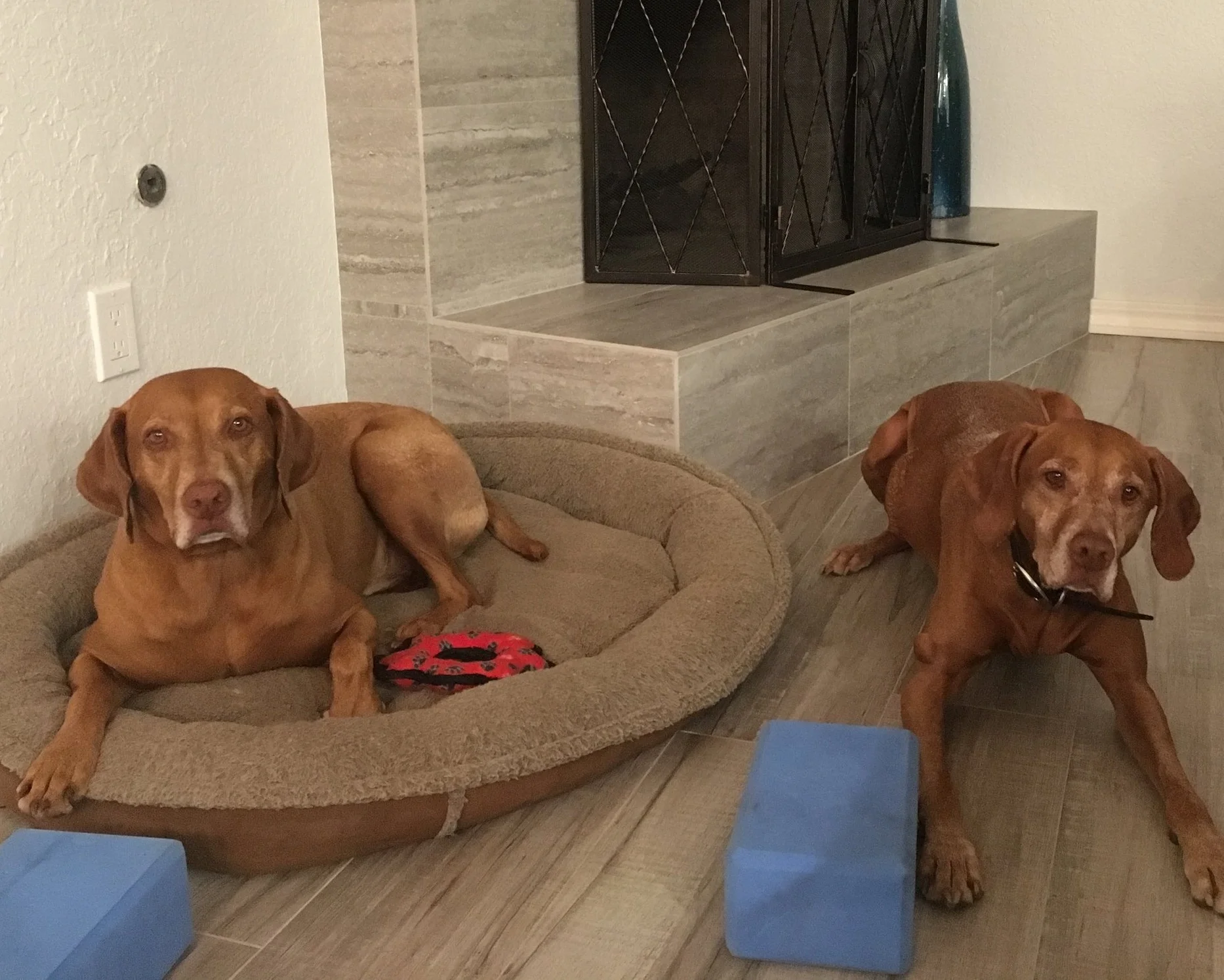 Chase and Miles showing off the yoga blocks