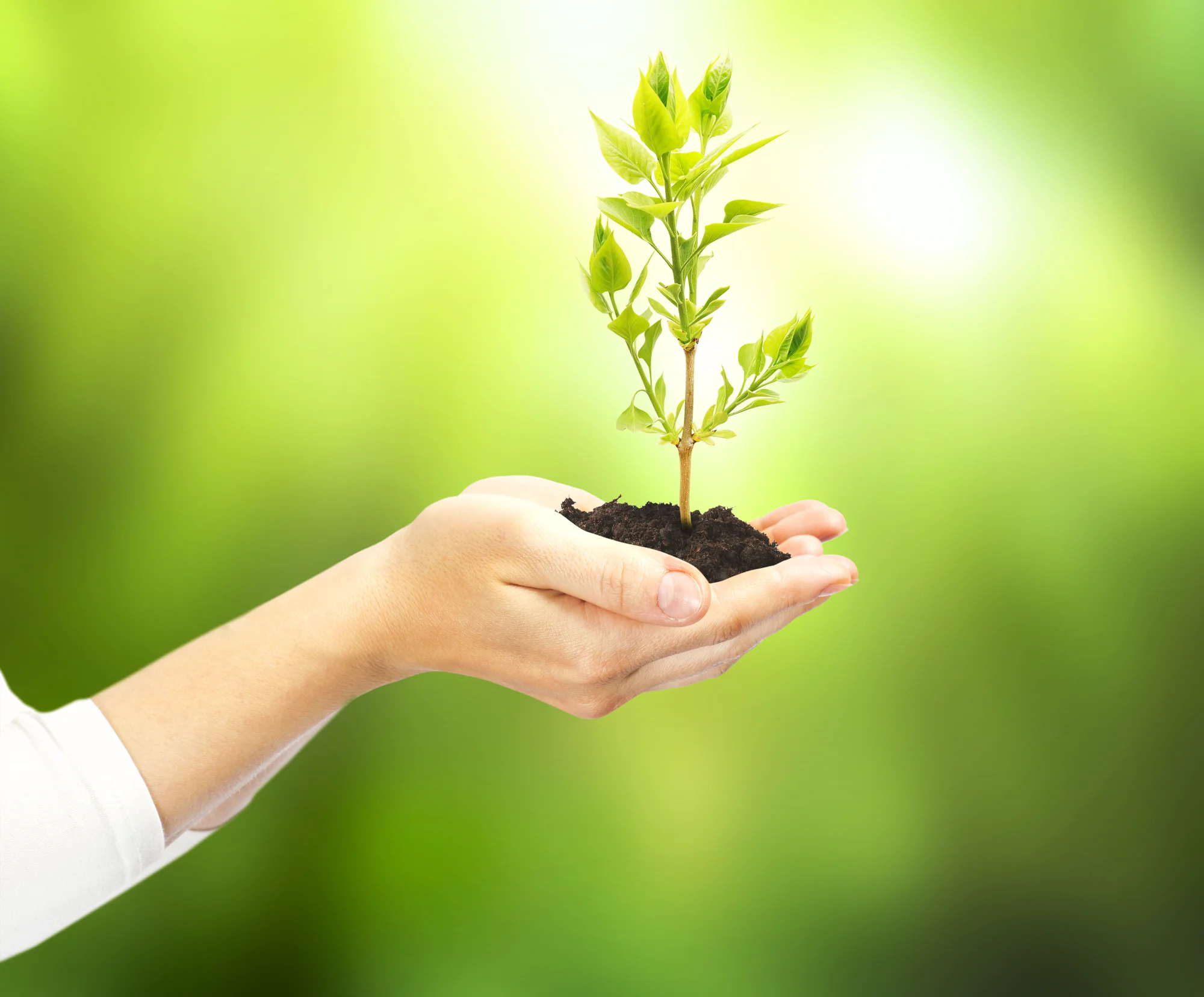 2 SIMPLE WAYS TO HELP OTHERS FLOURISH