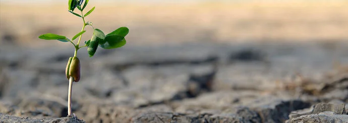 Grief, Gratitude, and Grit