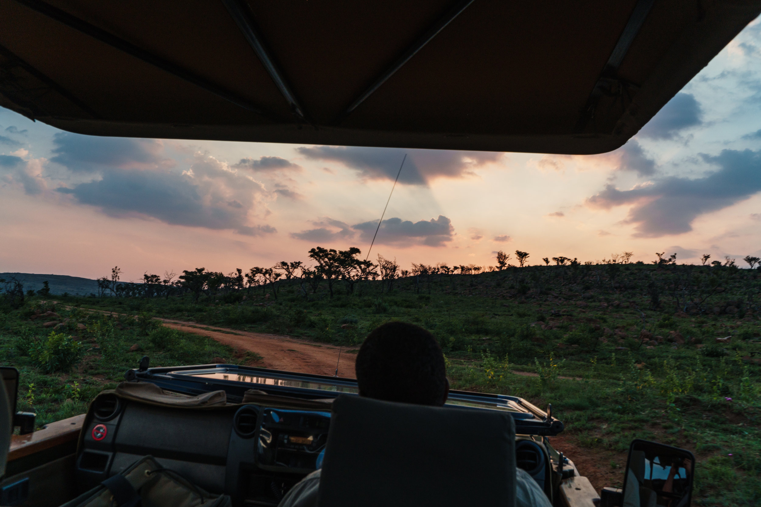 Game Drive Hluhluwe Safari.jpeg