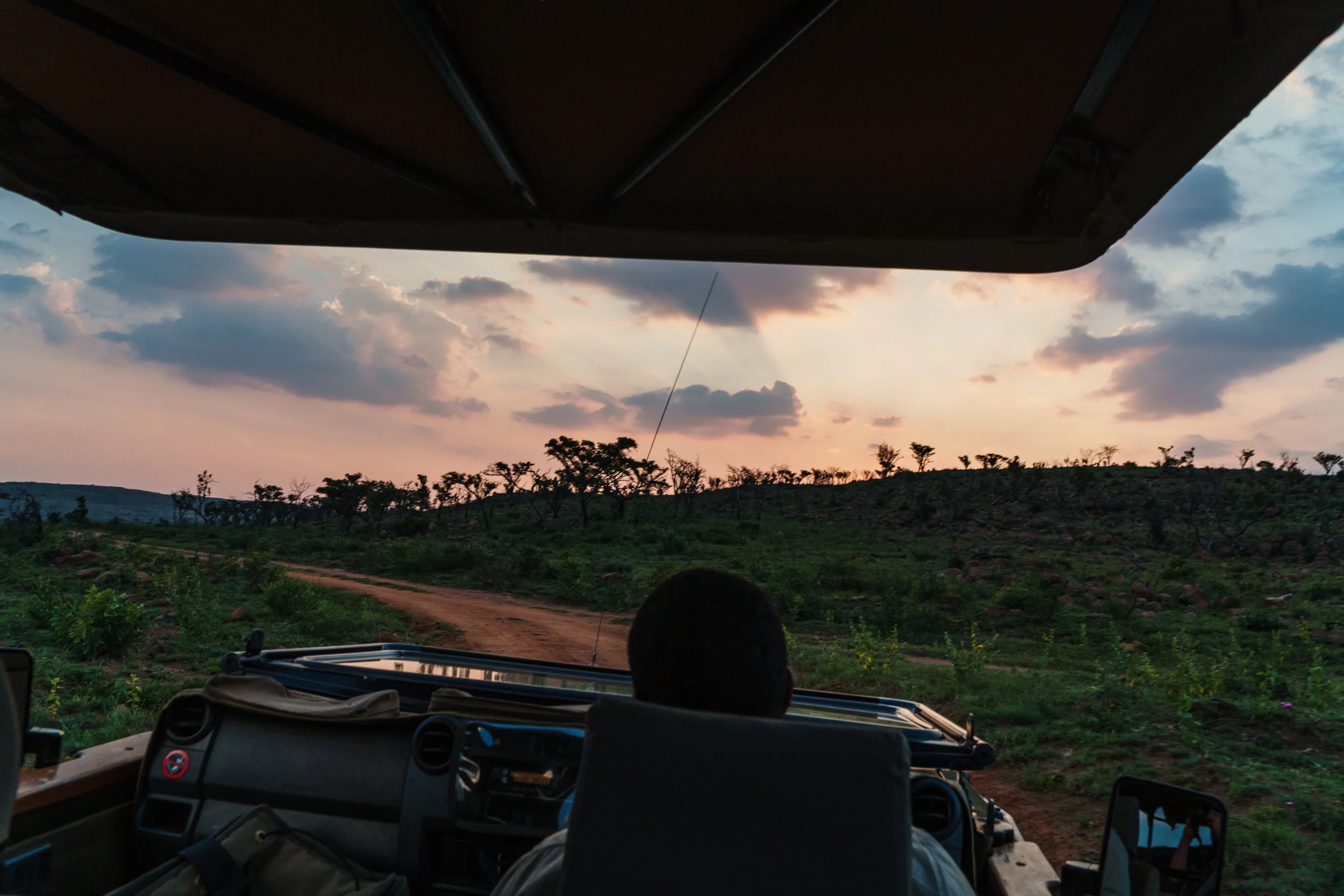 Hluhluwe Overnight Safari.jpeg